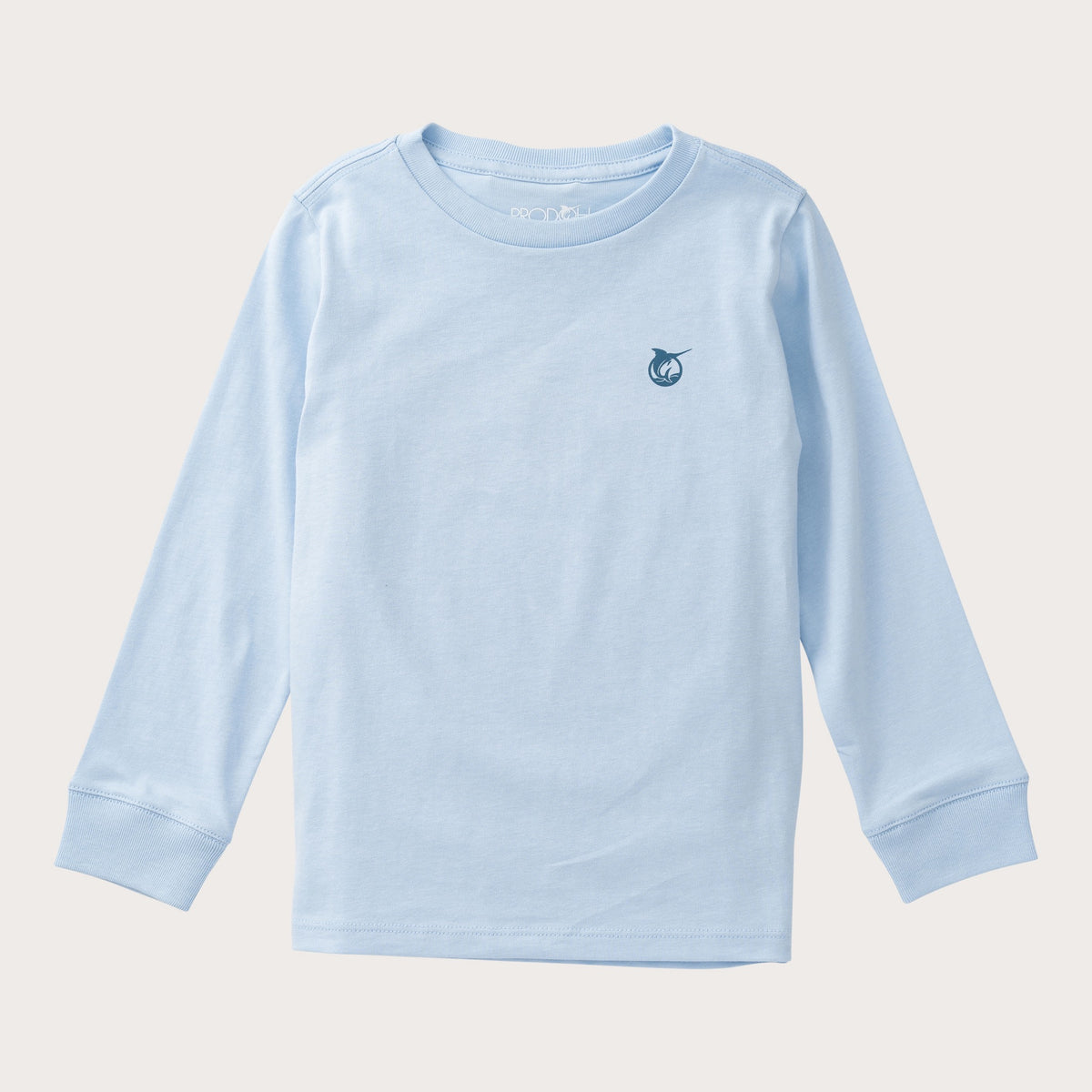 Boys' Long Sleeve Cotton T-shirt in Cashmere Blue Skating Scene