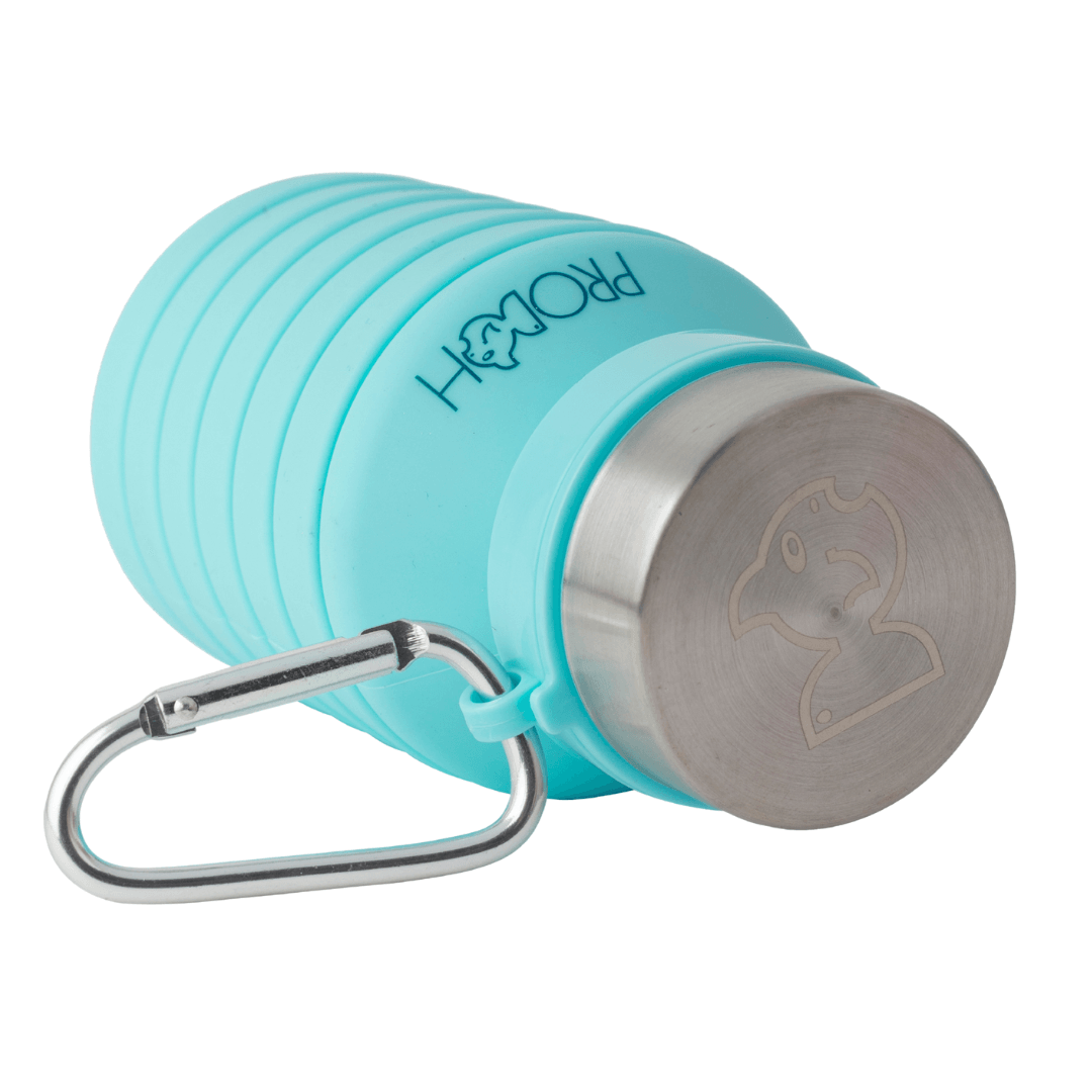 Collapsible Water Bottle with Carabiner in Tanager Turquoise - PRODOH